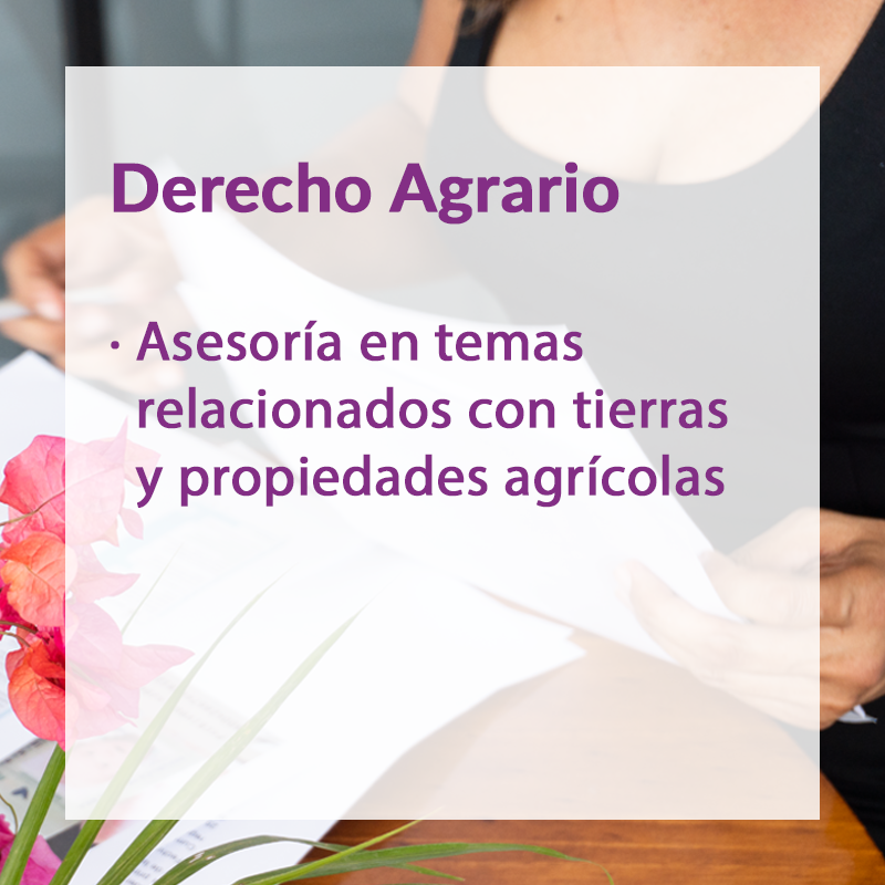 Derecho Agrario: asesoría en temas relacionados con tierras y propiedades agrícolas