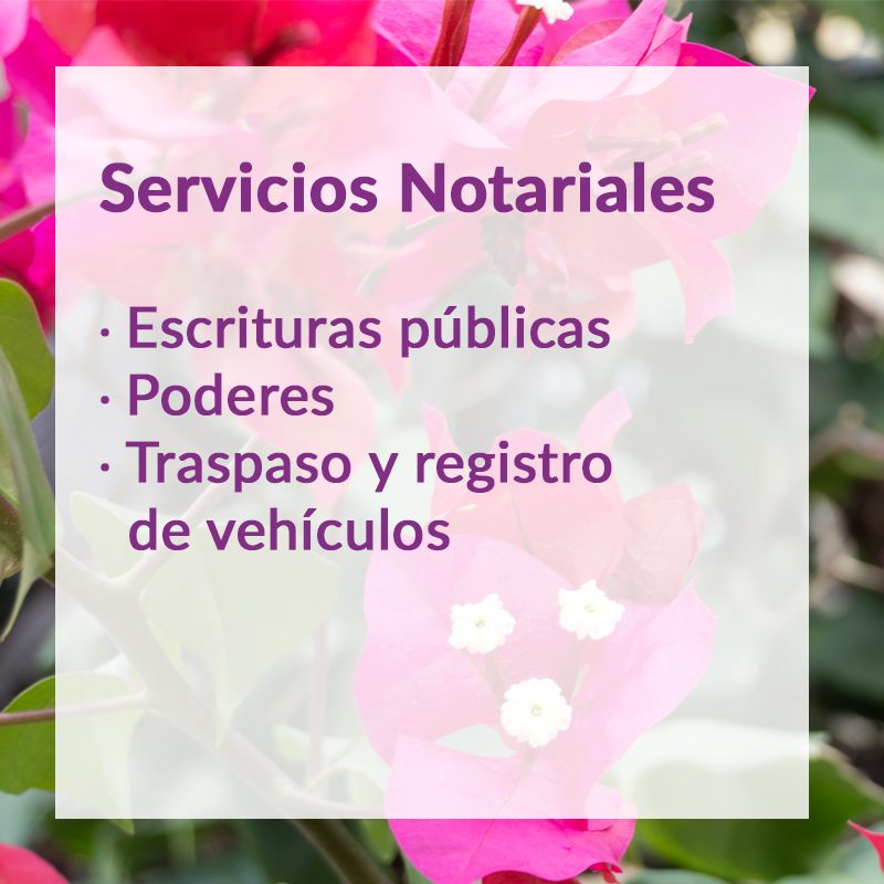 Servicios Notariales: escrituras públicas, poderes, traspaso y registro de vehículos