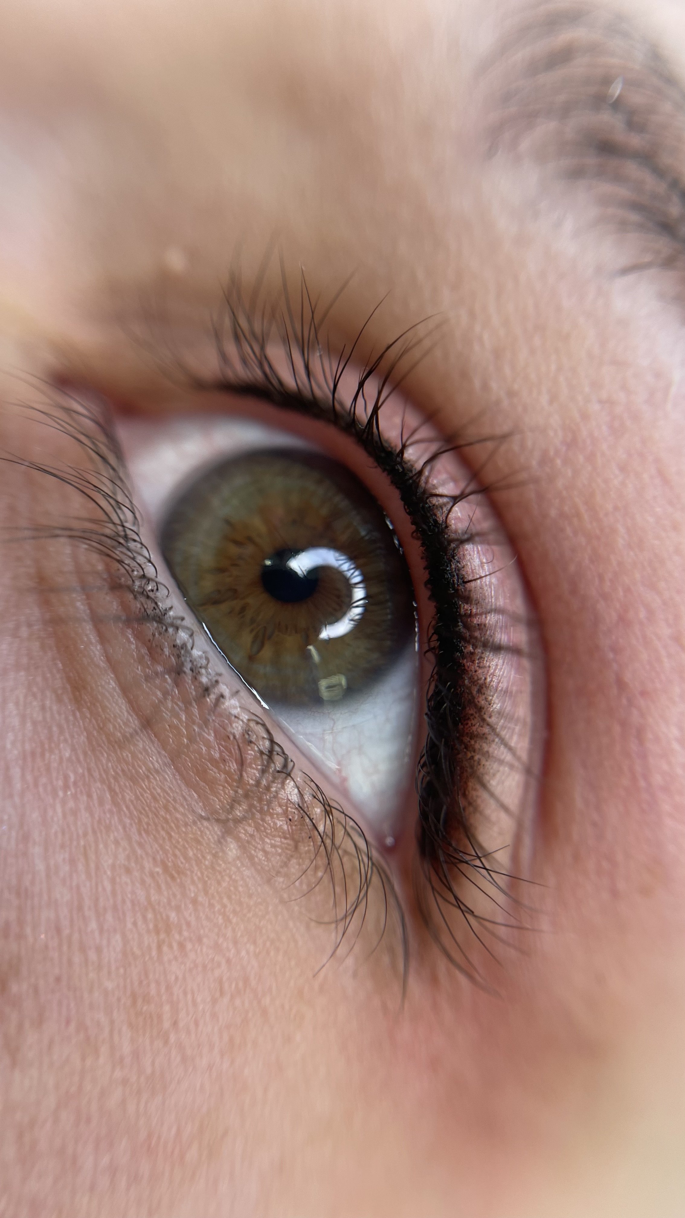 3) FLA 3 - Smoky Lashline 2.jpeg