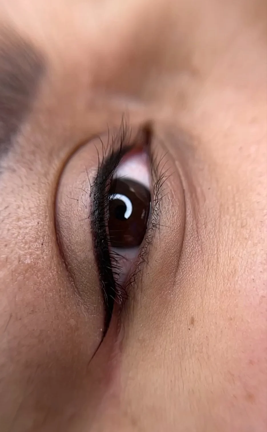 5) FLA 3 - Classic Liner.jpeg