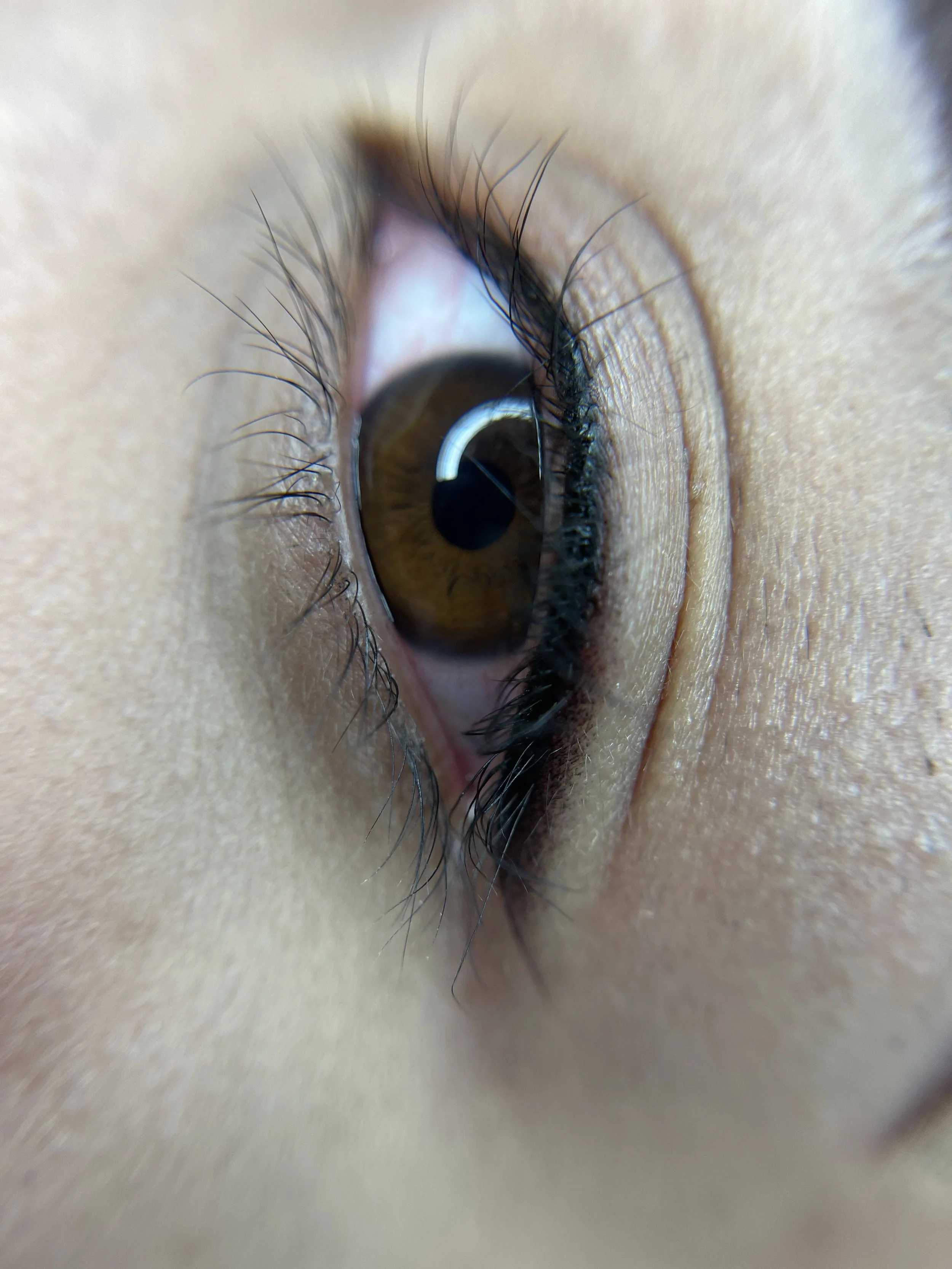 4) FLA 3 - Baby Liner 4.jpeg