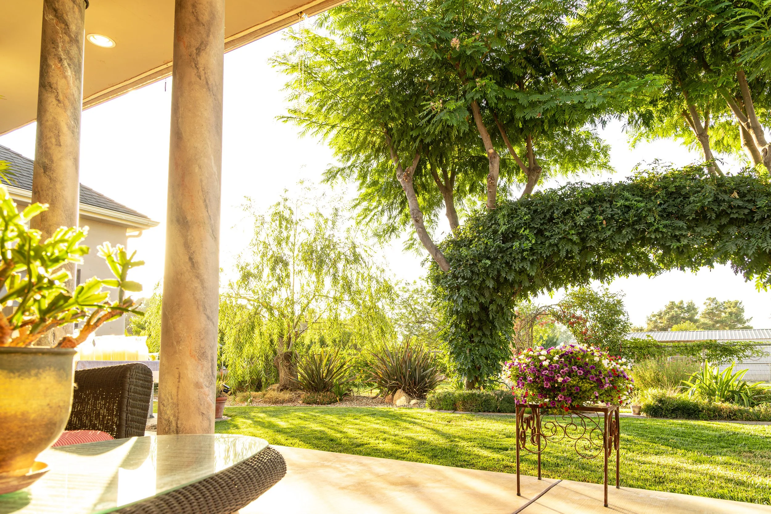 Alex Morales_Property Showing_08-17-24_09.jpg