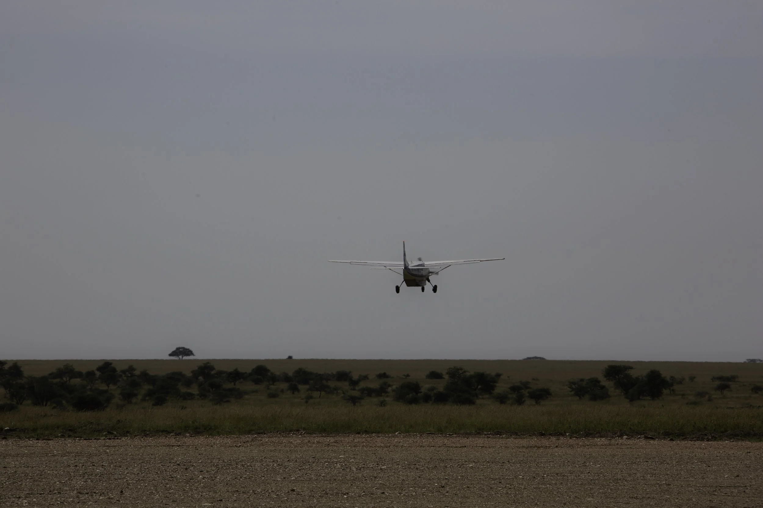 Safari: Serengeti National Park (Time to head home)