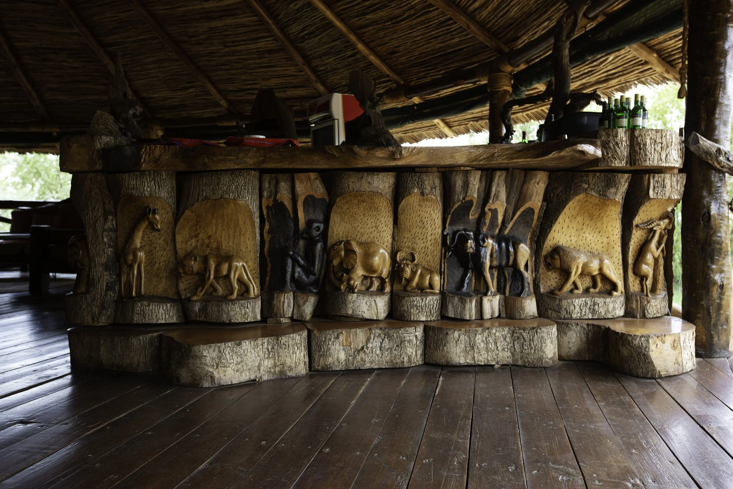 4-Sun 17Feb2013 Day 2 Kikoti Camp-02.jpg