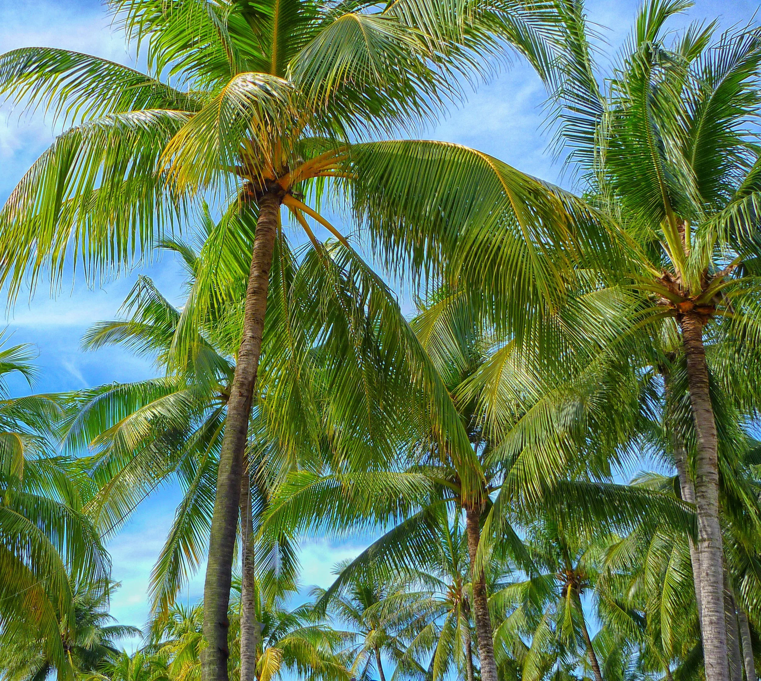 unsplash-image-Ud9lKknu9c0.jpg