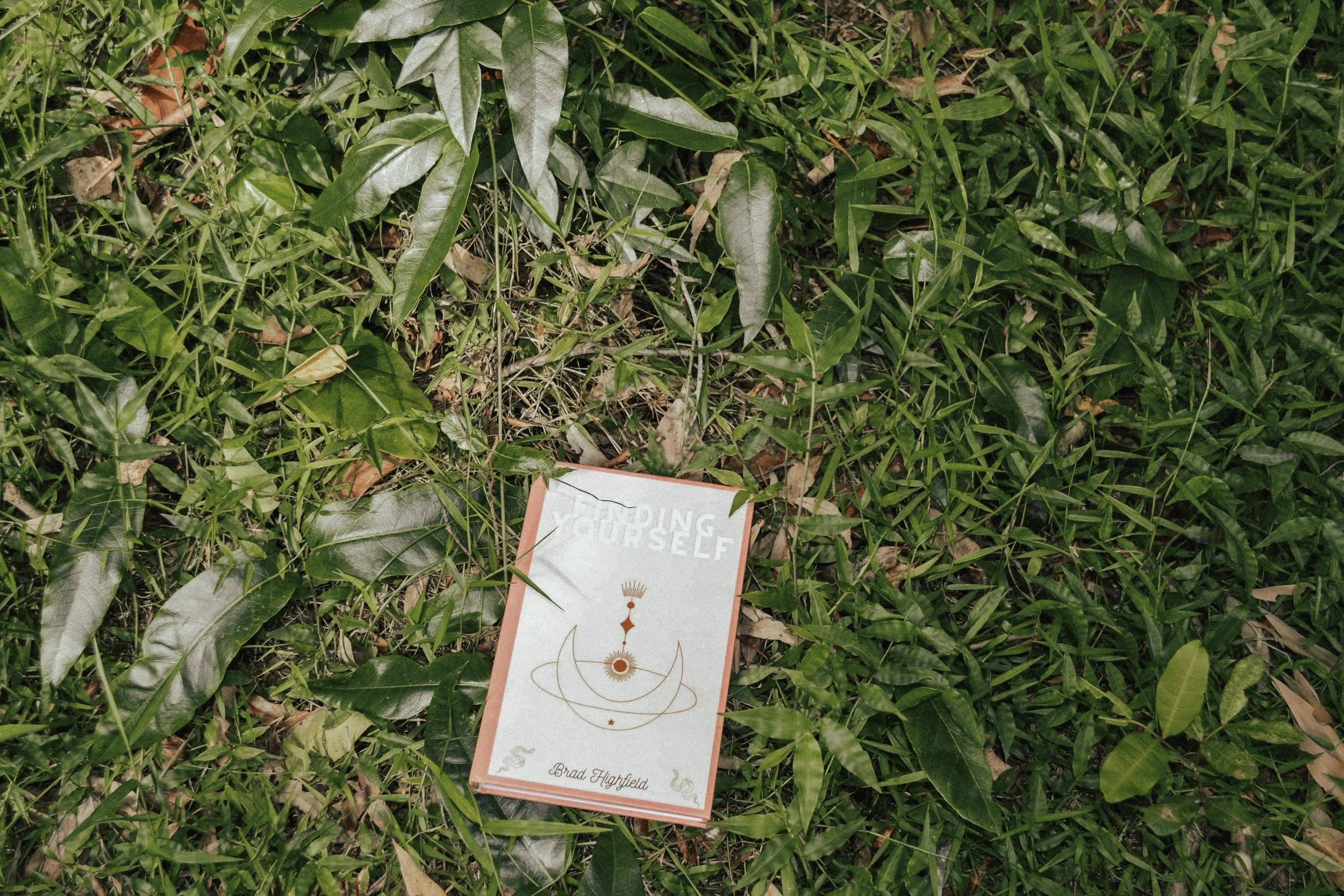 A book titled 'Learning to Love Yourself' by Brad Highfield lying on grass, surrounded by green leaves and plants.