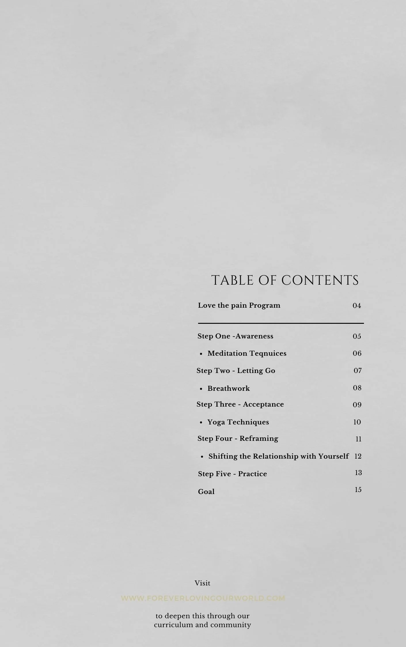 Page showing a table of contents for a program called Love the Pain Program, with steps including awareness, letting go, acceptance, techniques, breathwork, shifting relationships, practice, and a goal, with a website link at the bottom.