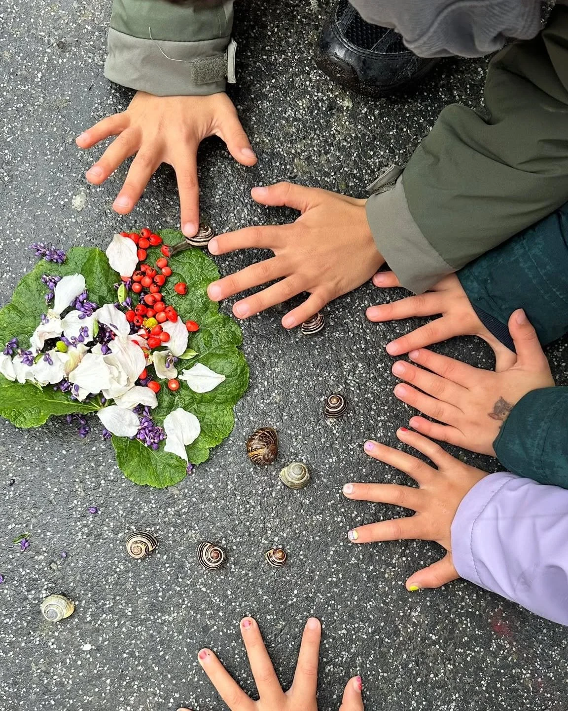 Big enough for adventures, small enough for deep connections 💕 

Our BSO is family-style care with creativity, outdoor fun and plenty of heart!

From January, we will have spots opening on Wednesday afternoons. Send us an email to hello@coffeeandkid