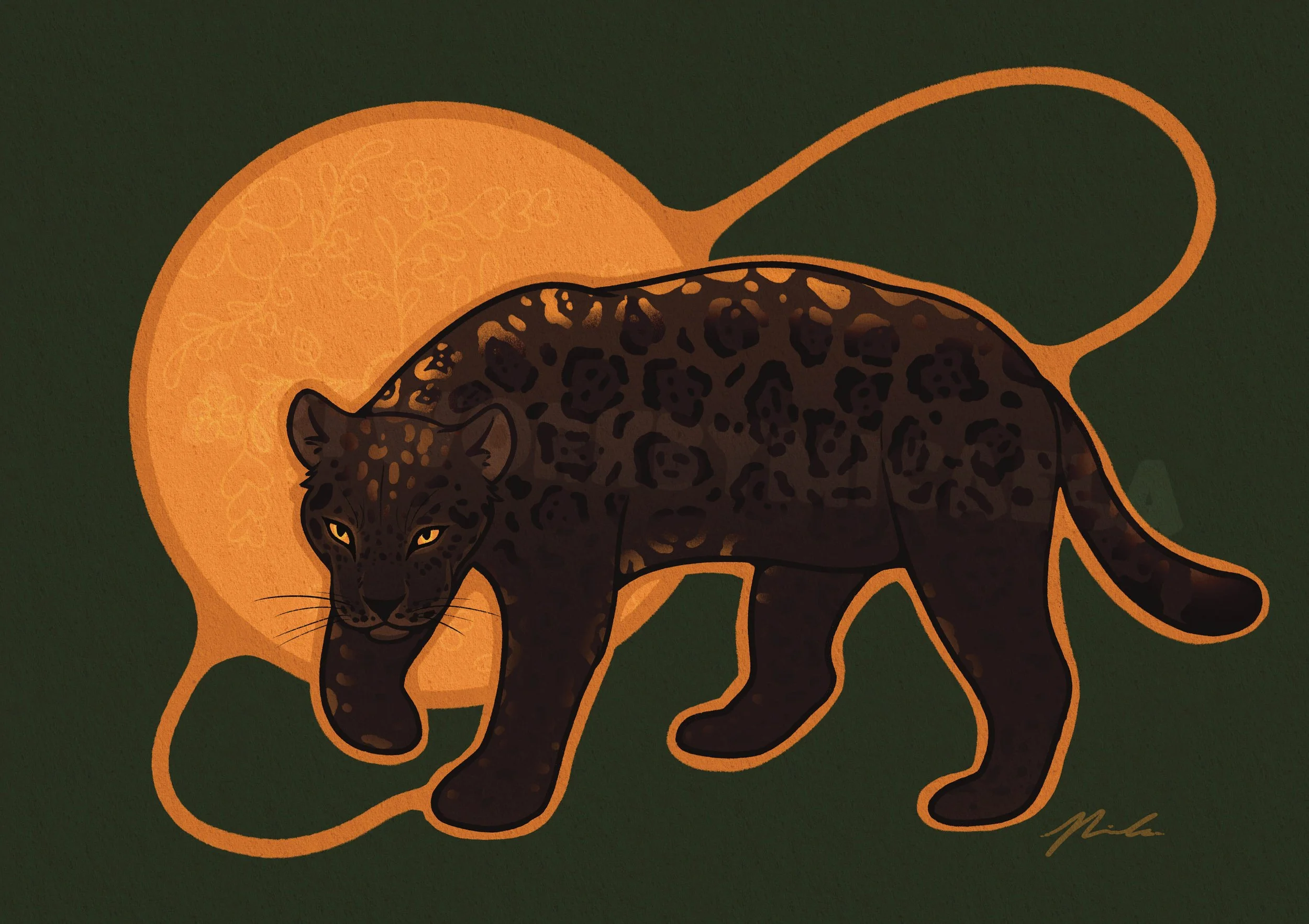 jaguar.jpg