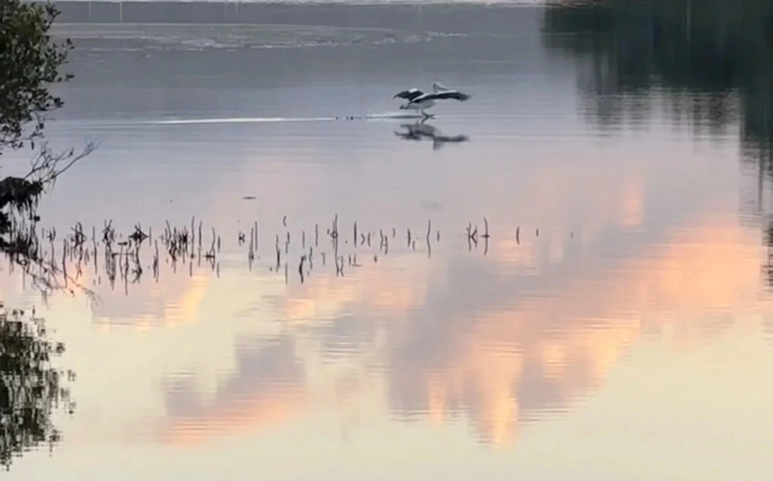 Nature: Love &amp; Heartache