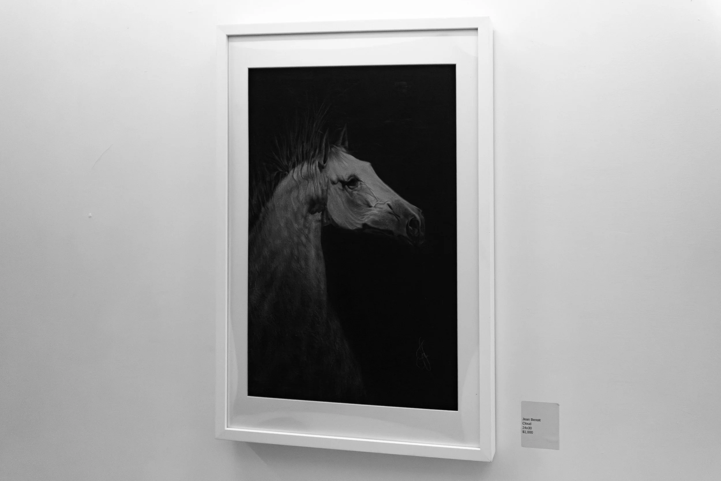 IMG_6481.jpeg