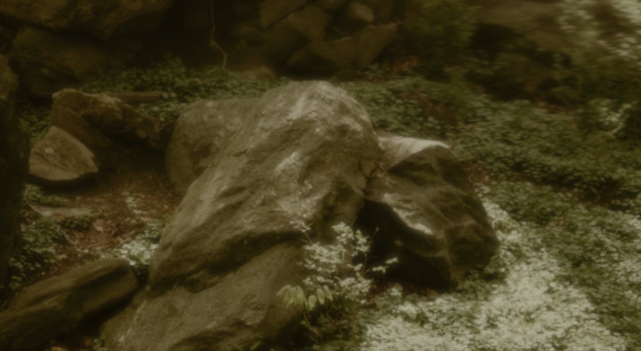 IMG_0134.jpeg