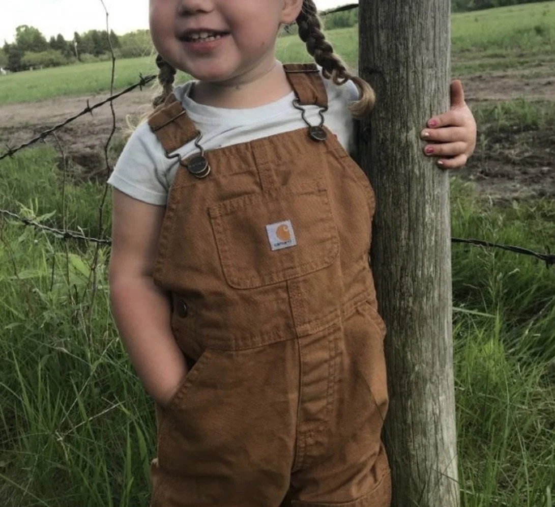 Vintage Carhartt Vintage Shortalls 18M