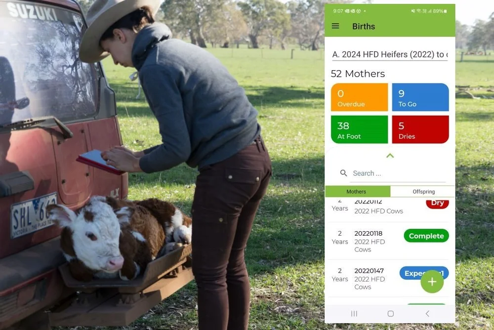 In-paddock data recording of births with KoolStock app