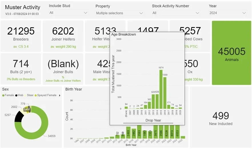 Muster Activity dashboard showing breeder, joiner and weaner counts with an age breakdown filter open