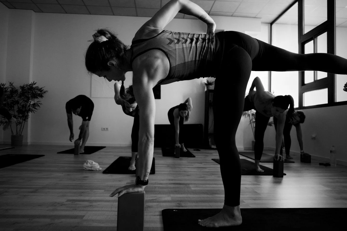 ✨ Respira &bull; Conecta &bull; Trasciende ✨

Vinyasa Yoga | Lunes y Jueves | 19:30 

#yoga #yogaphotography #palmmar #gimnasio #mentalhealth