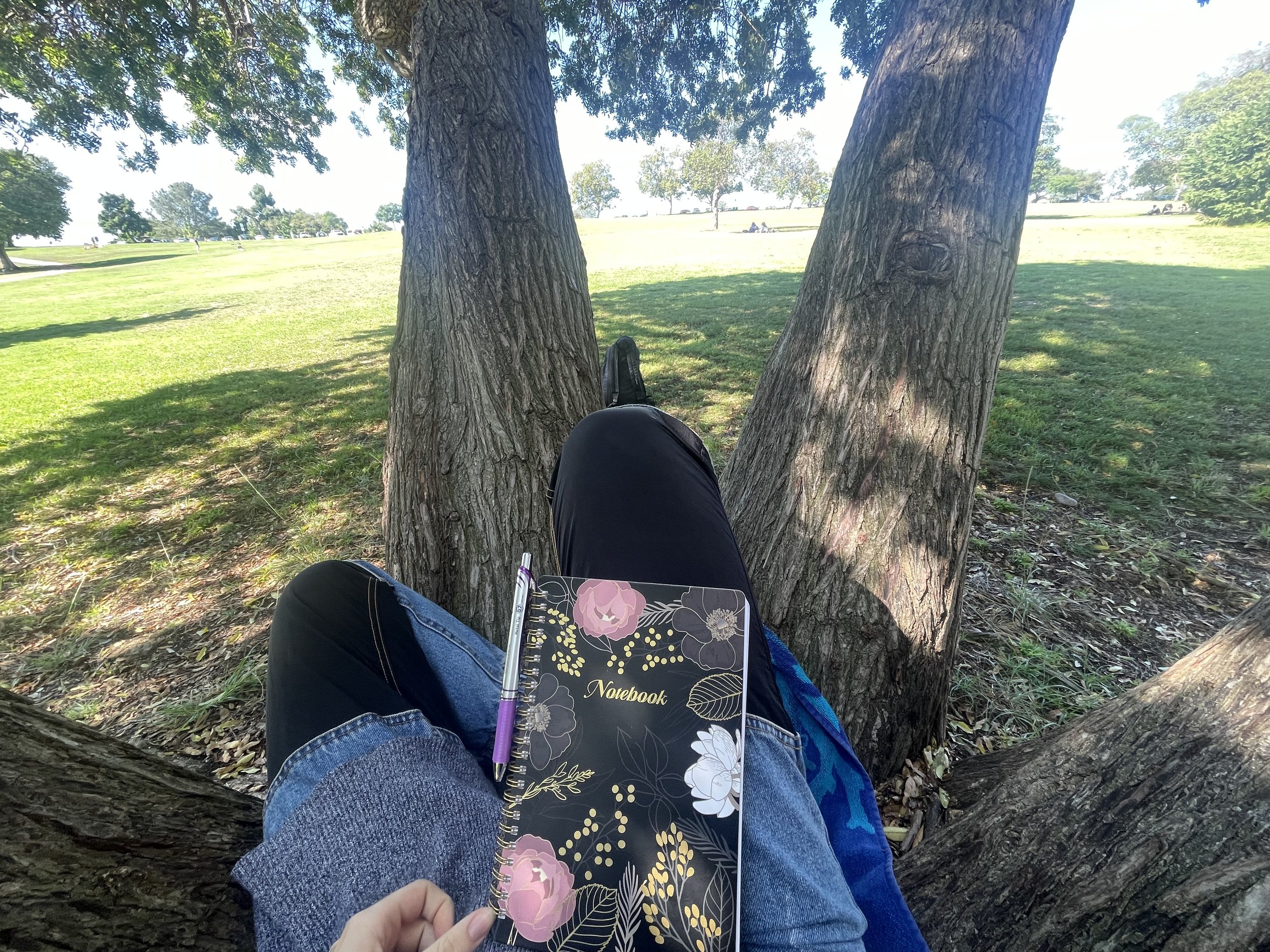 So I sat in the center and journaled. This was God's tree I swear. (Well all trees are God's trees but this tree had ENERGY).