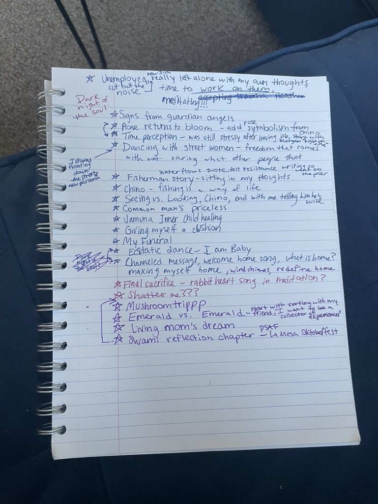 My jumbled book outline.