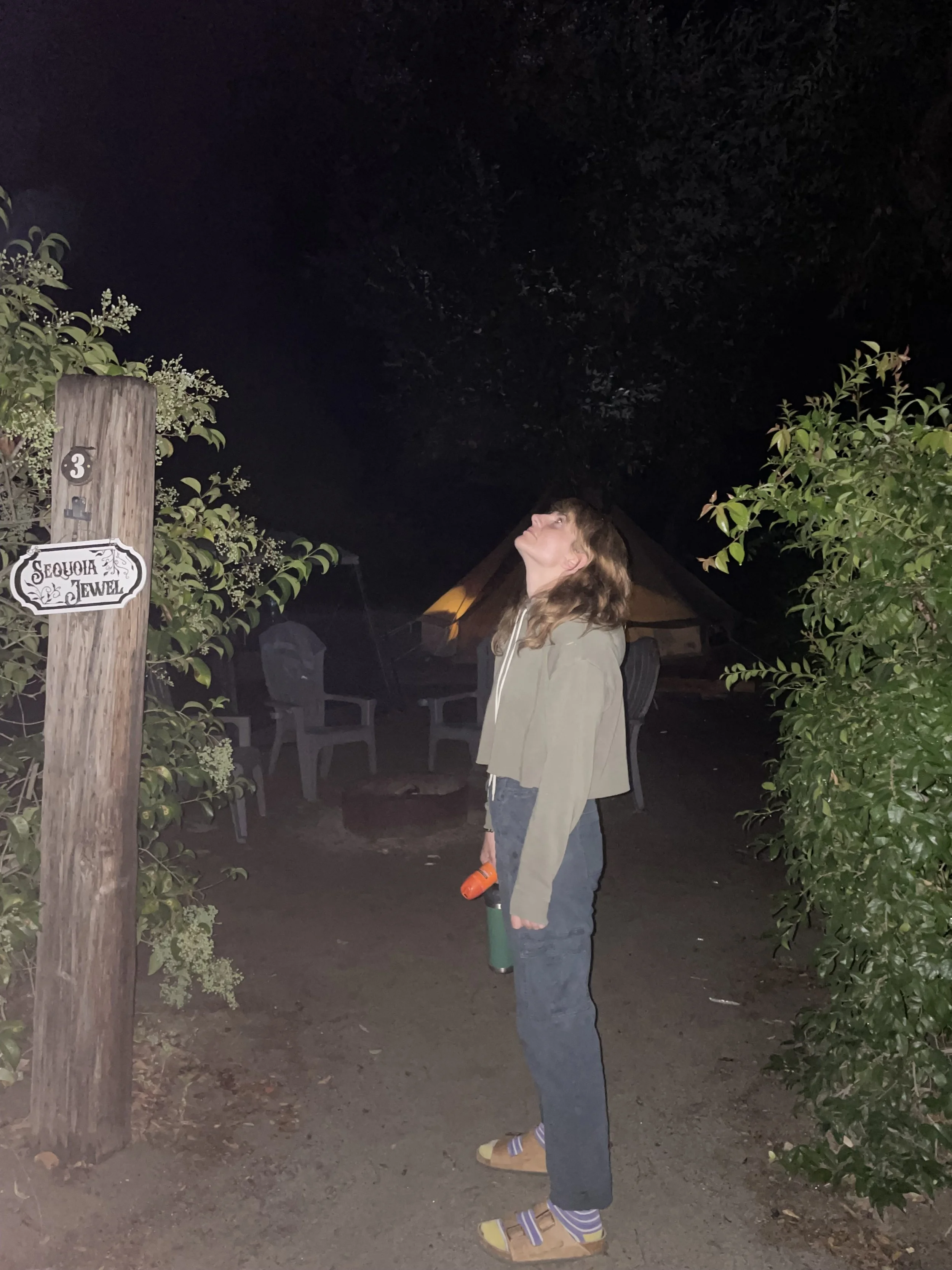 Gazing at the stars.