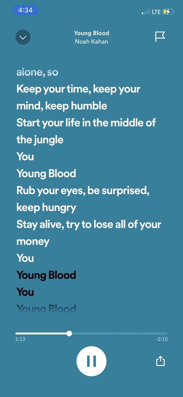 This song I'd never heard before came on as I pulled out of the lot. It literally says "Start your life in the middle of the jungle." Omg.