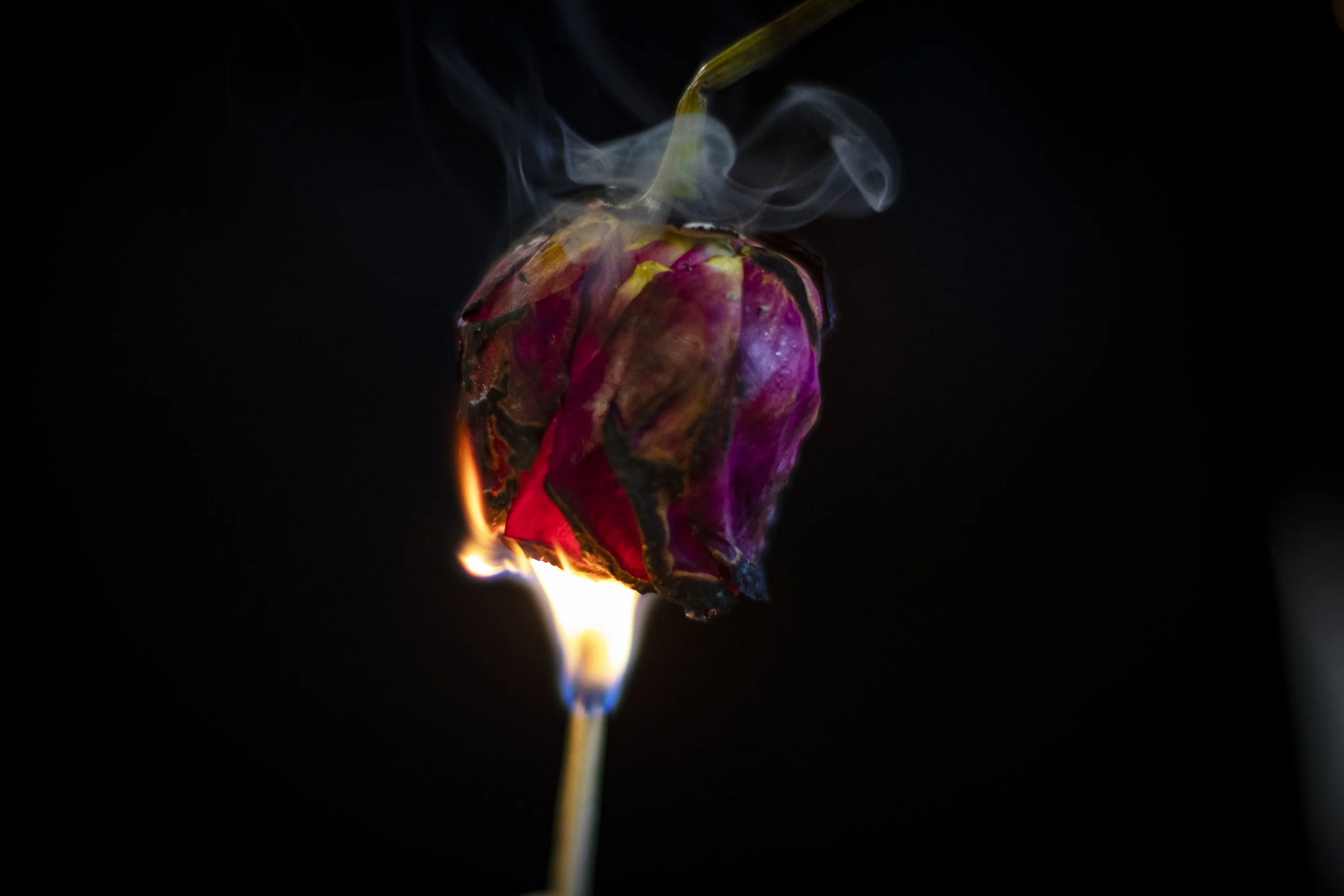 Copy of fire2.jpg