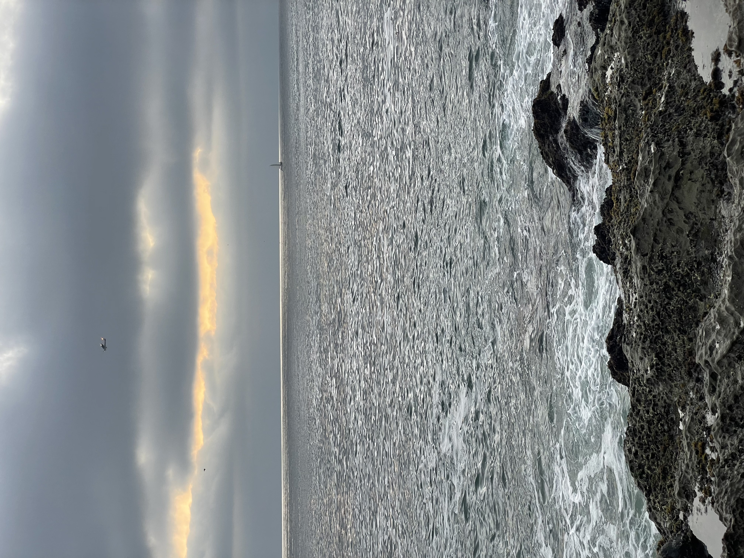 Unfortunately I don't have any pictures of Alex or his hat, but this was our ocean view!