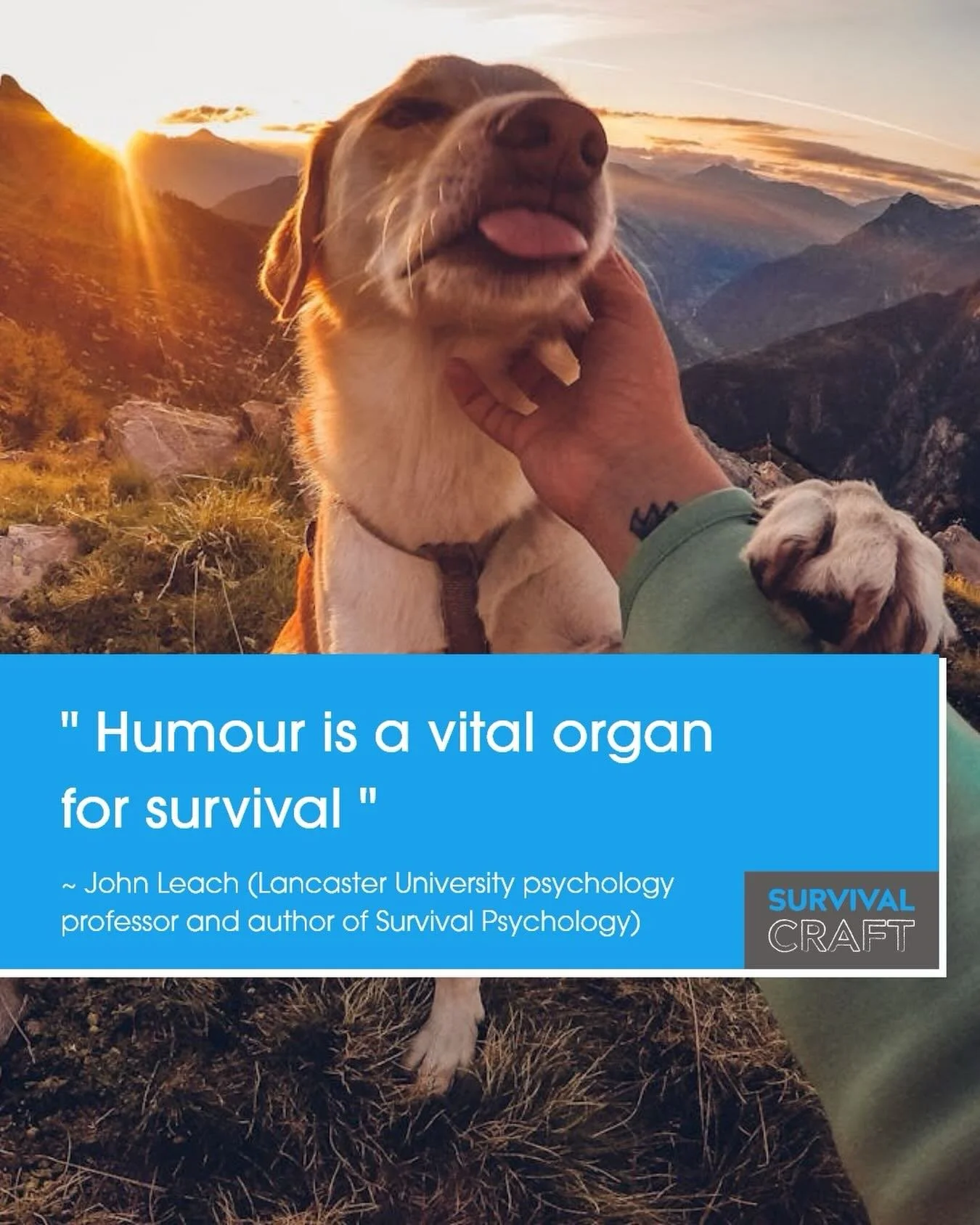 SurvivalCraft wishes you all a happy, peaceful holiday season - see you in 2026!
#sussex ##survivalcraft