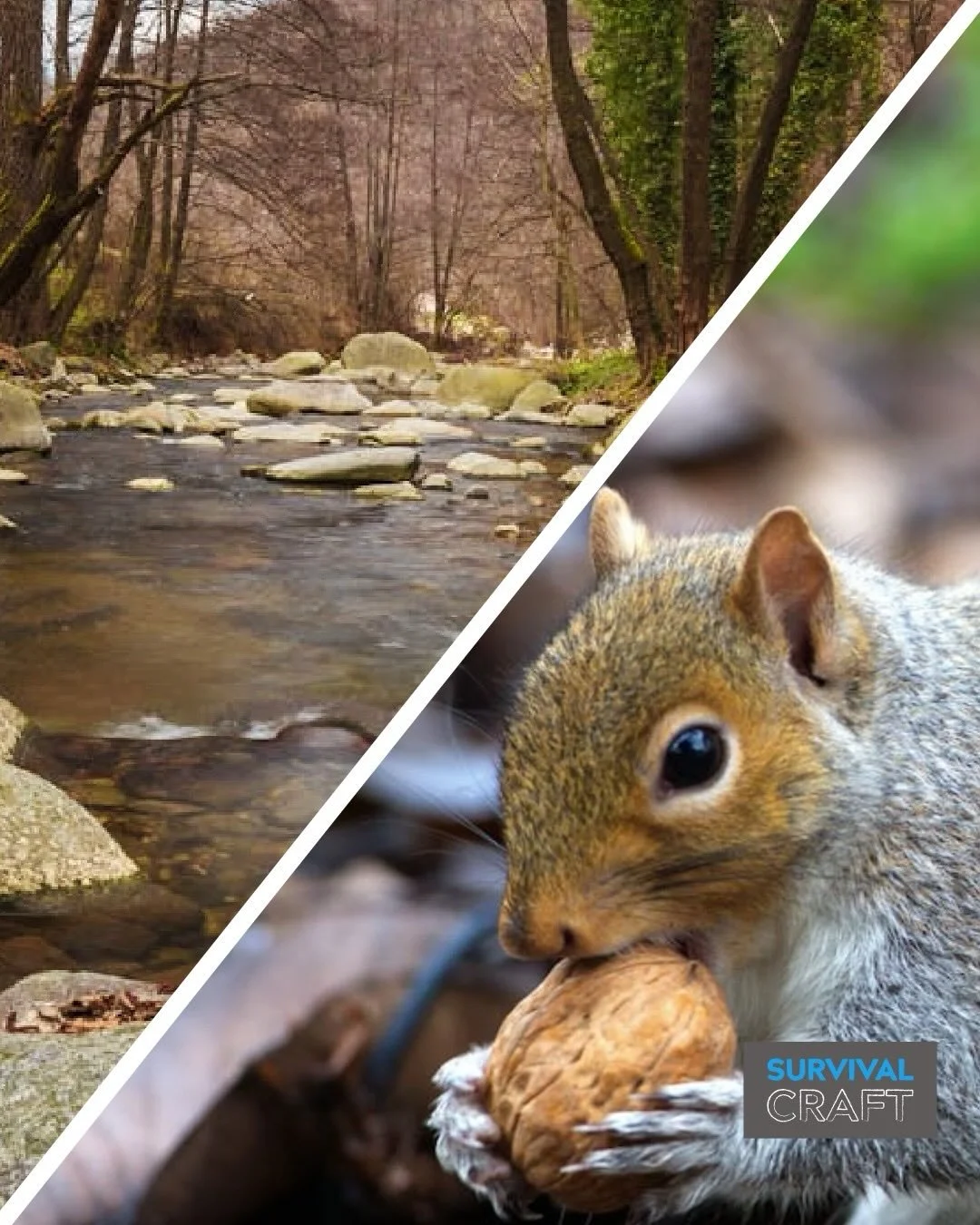 10Ws of survival
These act as useful reminders to help us when engaging in outdoor activities. Being mindful of these can help prevent us from getting into a survival situation and help us out if we find ourselves in a potential survival situation.
 