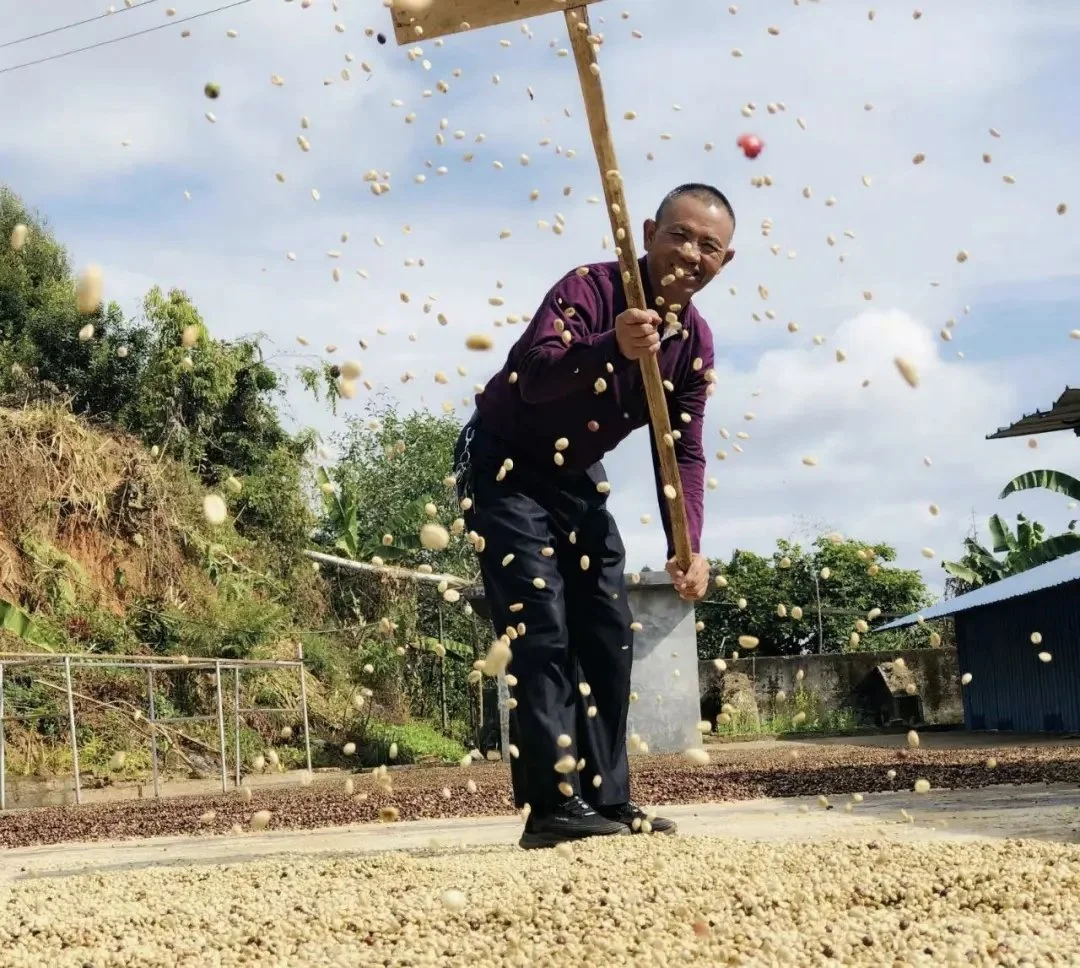 Huangguan Coffee Co-Op