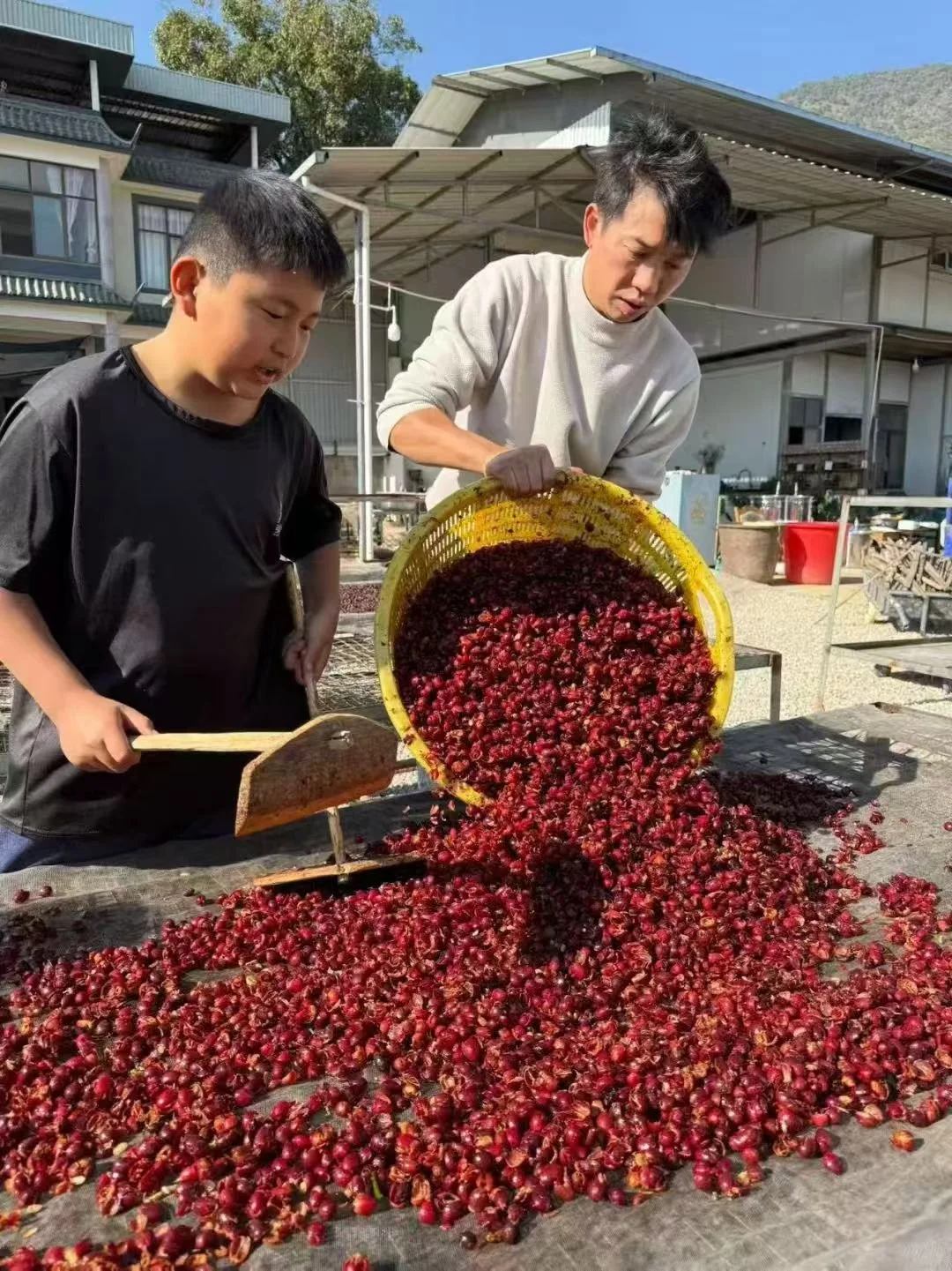 Menghe coffee