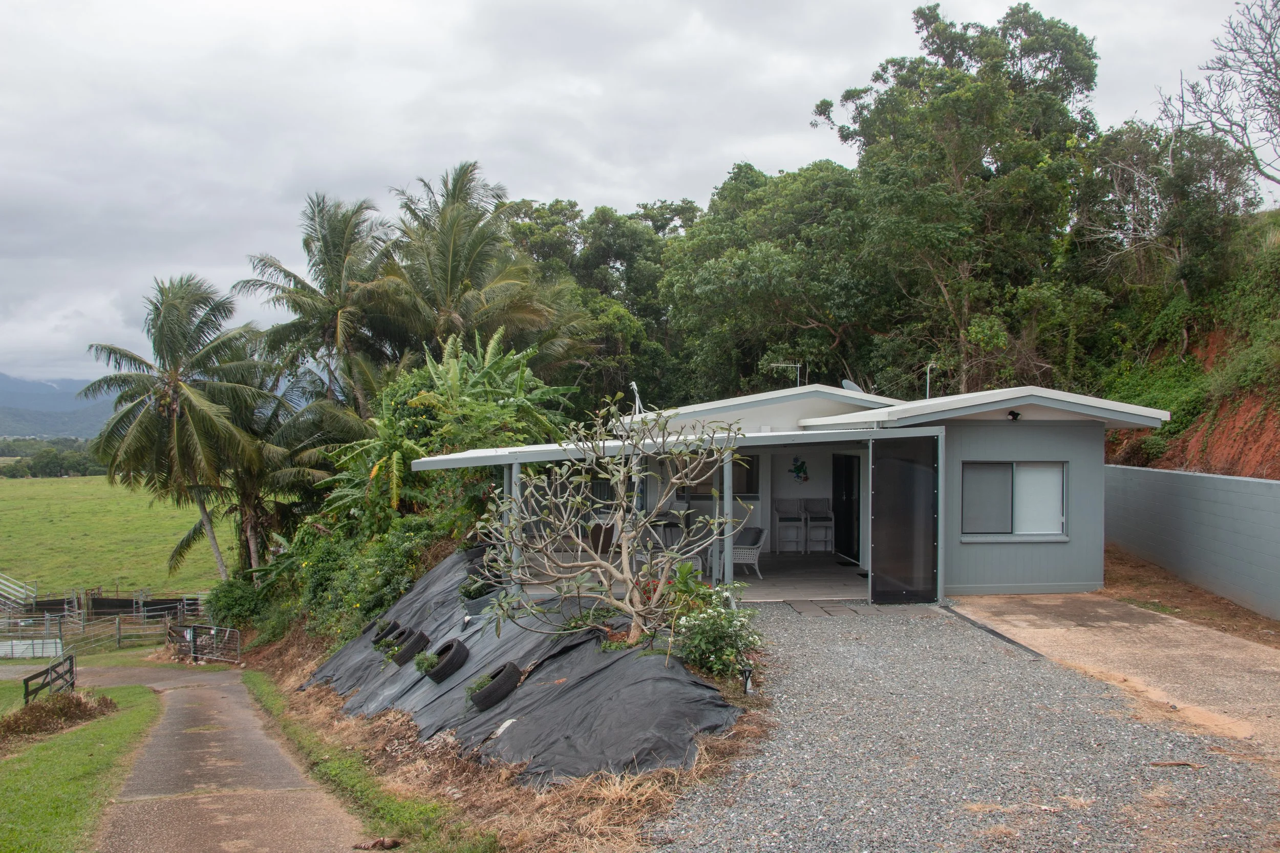 A modern house with a white roof and gray walls, surrounded by lush green trees and plants, with a gravel pathway leading up to it, set against a backdrop of cloudy sky and mountains.