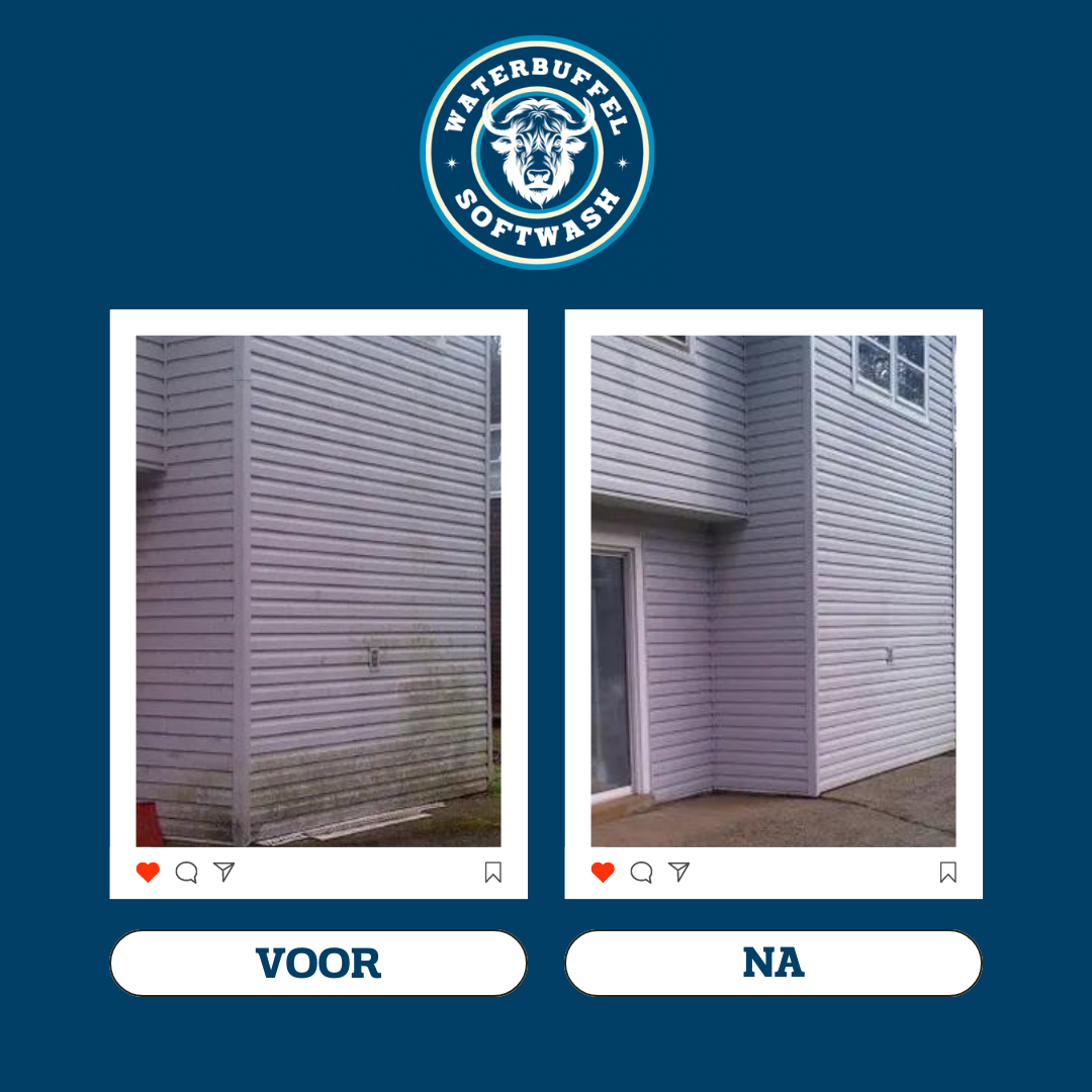 VOOR NA WATERBUFFEL.zip - 1.PNG