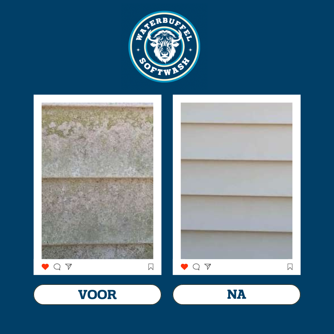 VOOR NA WATERBUFFEL.zip - 5.PNG