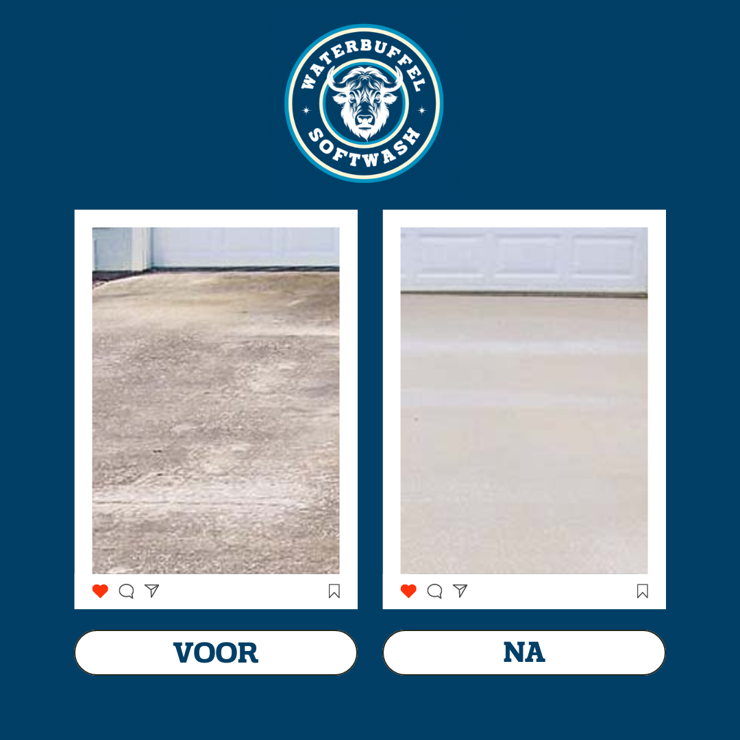 VOOR NA WATERBUFFEL.zip - 3.PNG