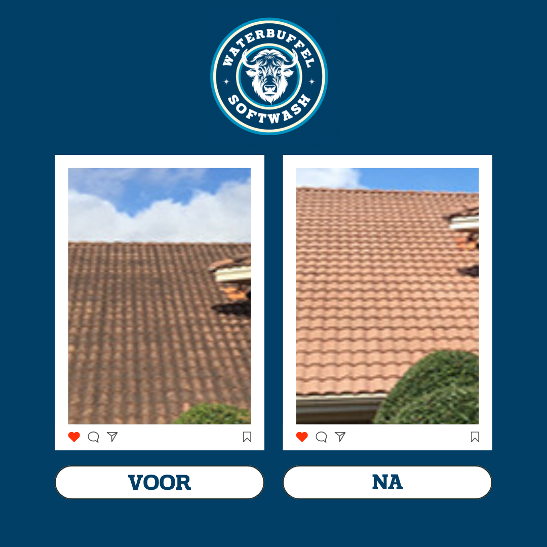 VOOR NA WATERBUFFEL.zip - 2.PNG