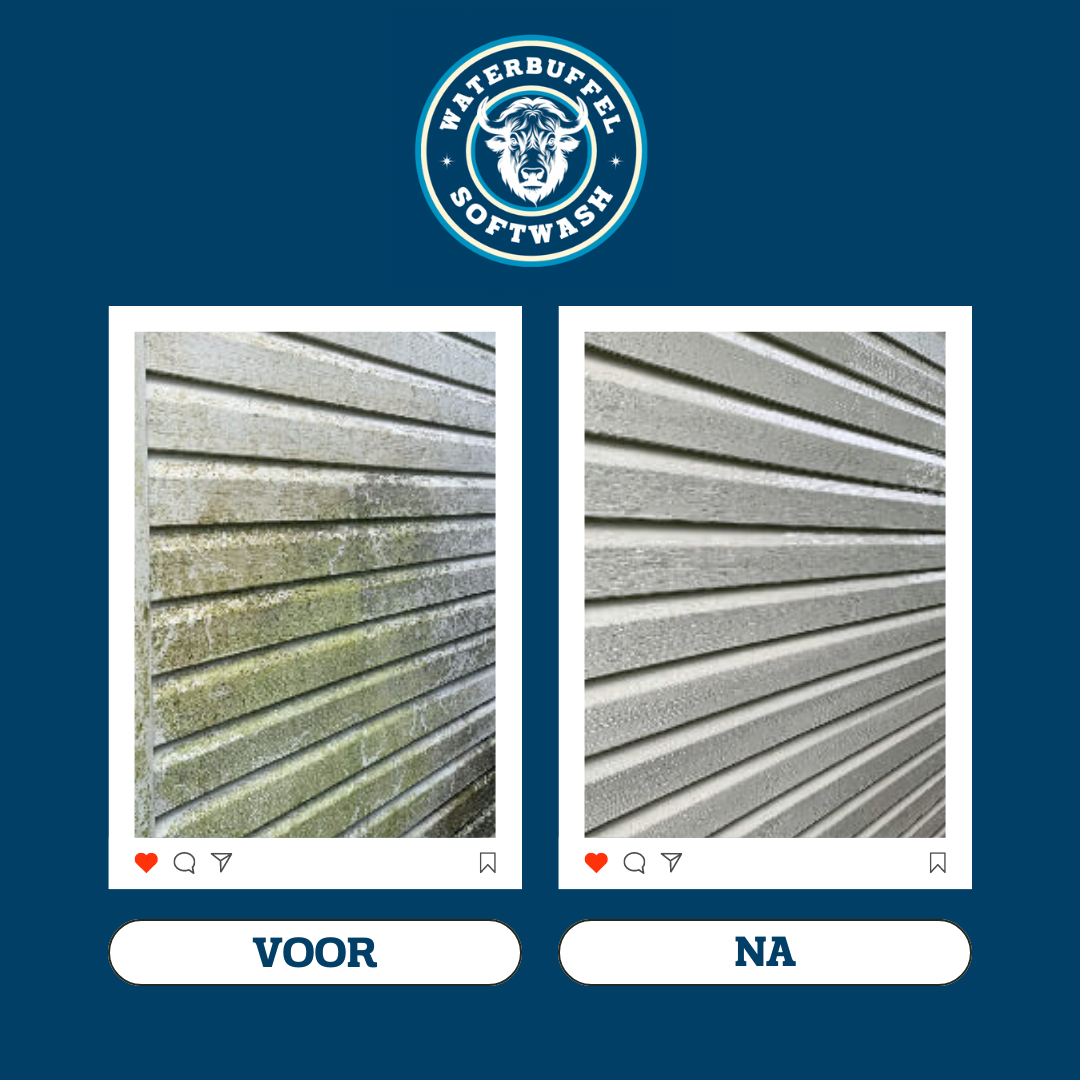 VOOR NA WATERBUFFEL.zip - 6.PNG