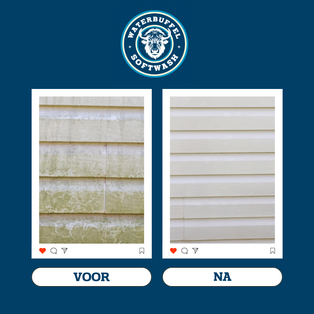 VOOR NA WATERBUFFEL.zip - 9.PNG