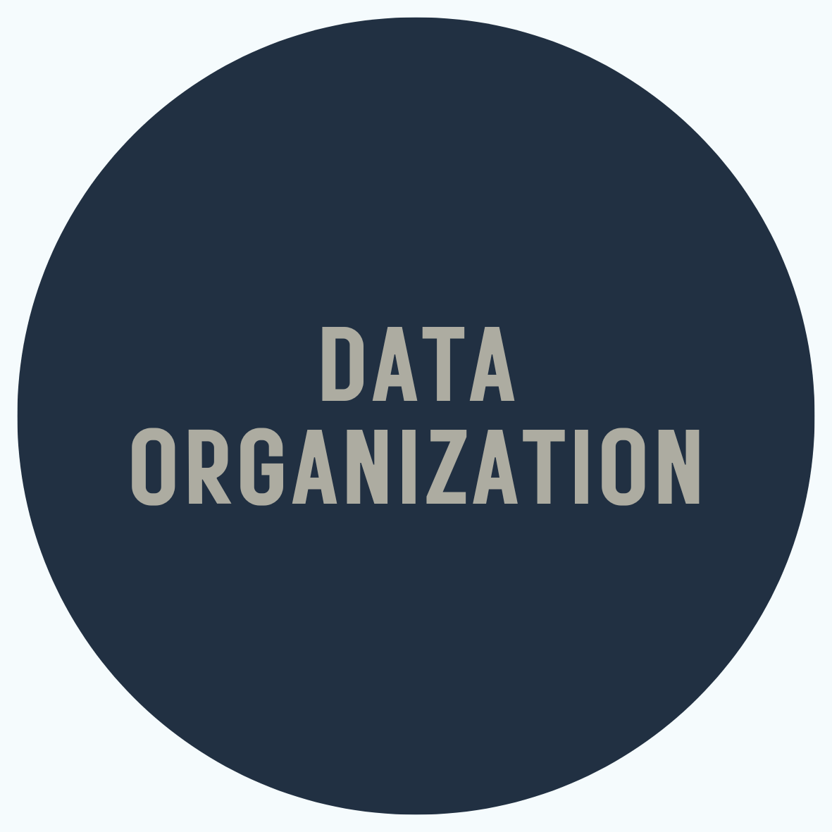 Dark blue circle with the words 'DATA ORGANIZATION' written in gray uppercase letters.