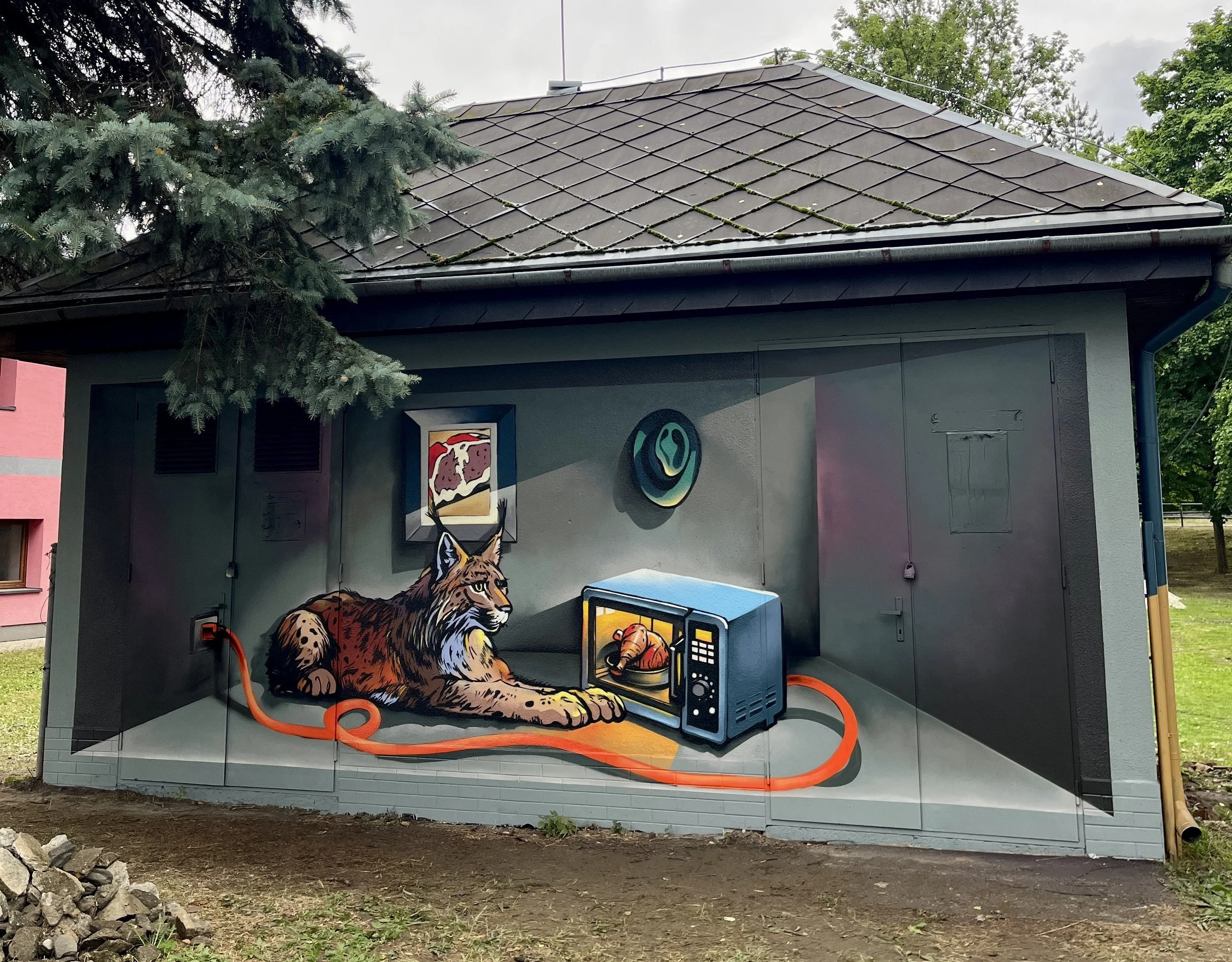 Lynx with a microwave oven