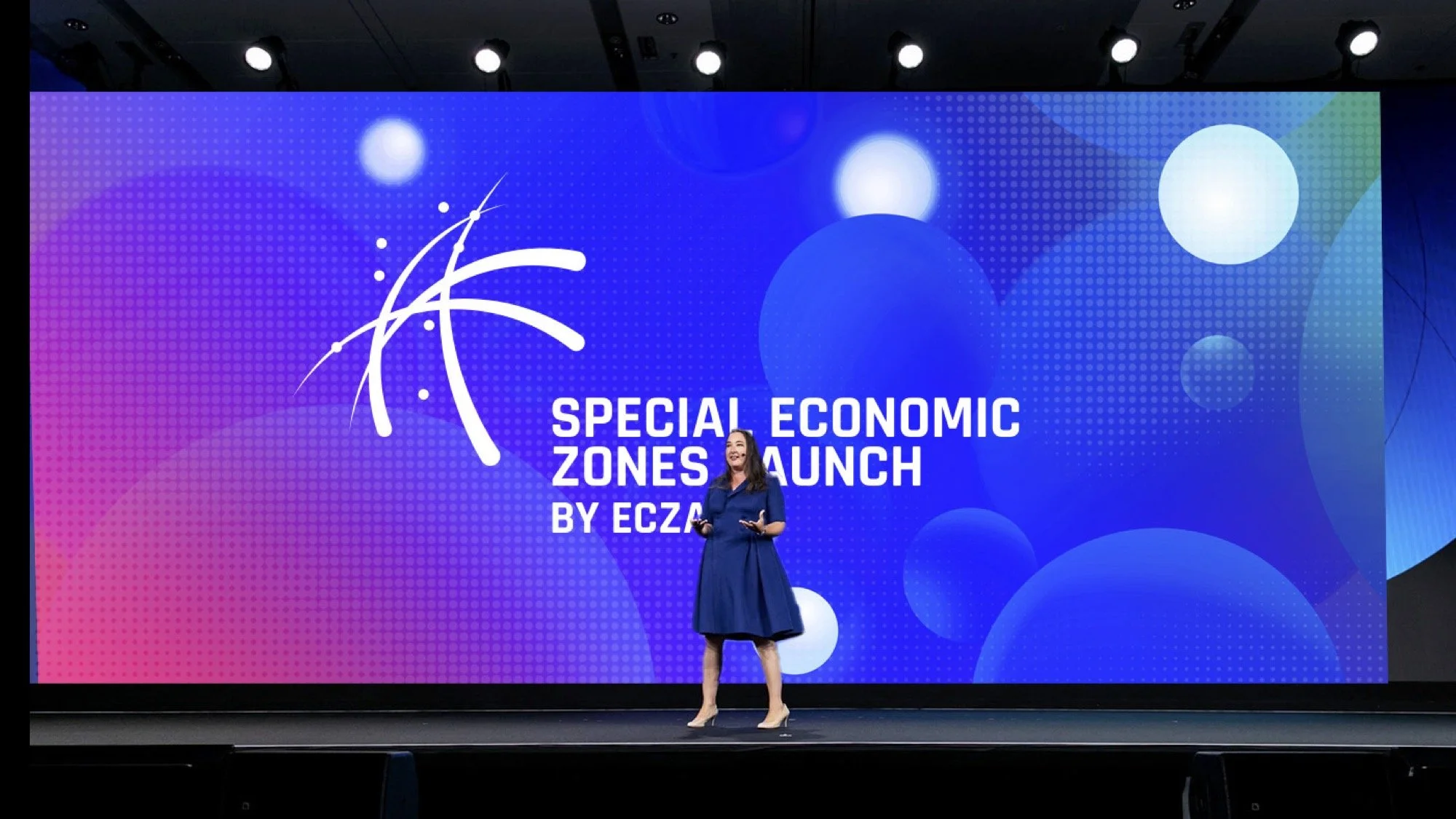 ECZA Logo (dragged).jpg