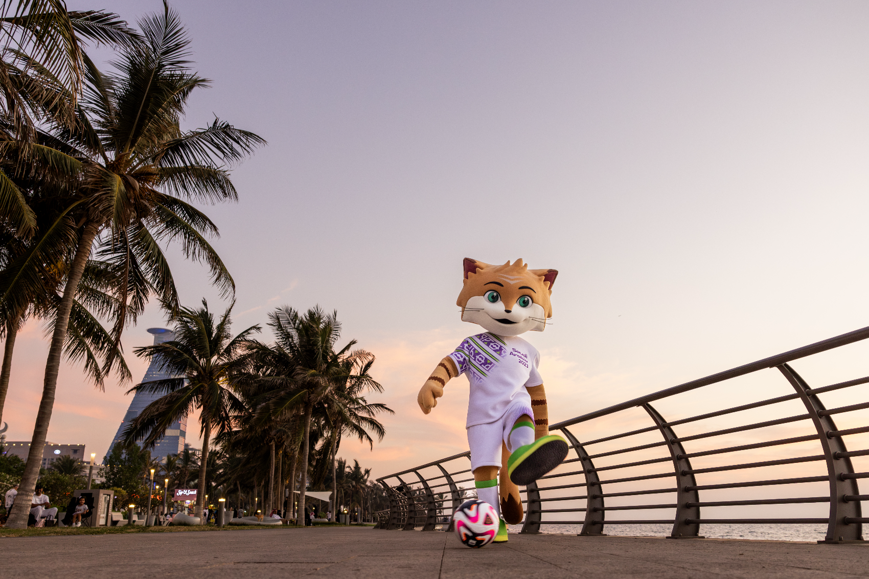 Screenshot 2024-09-04 at 10.24.49 AM.png