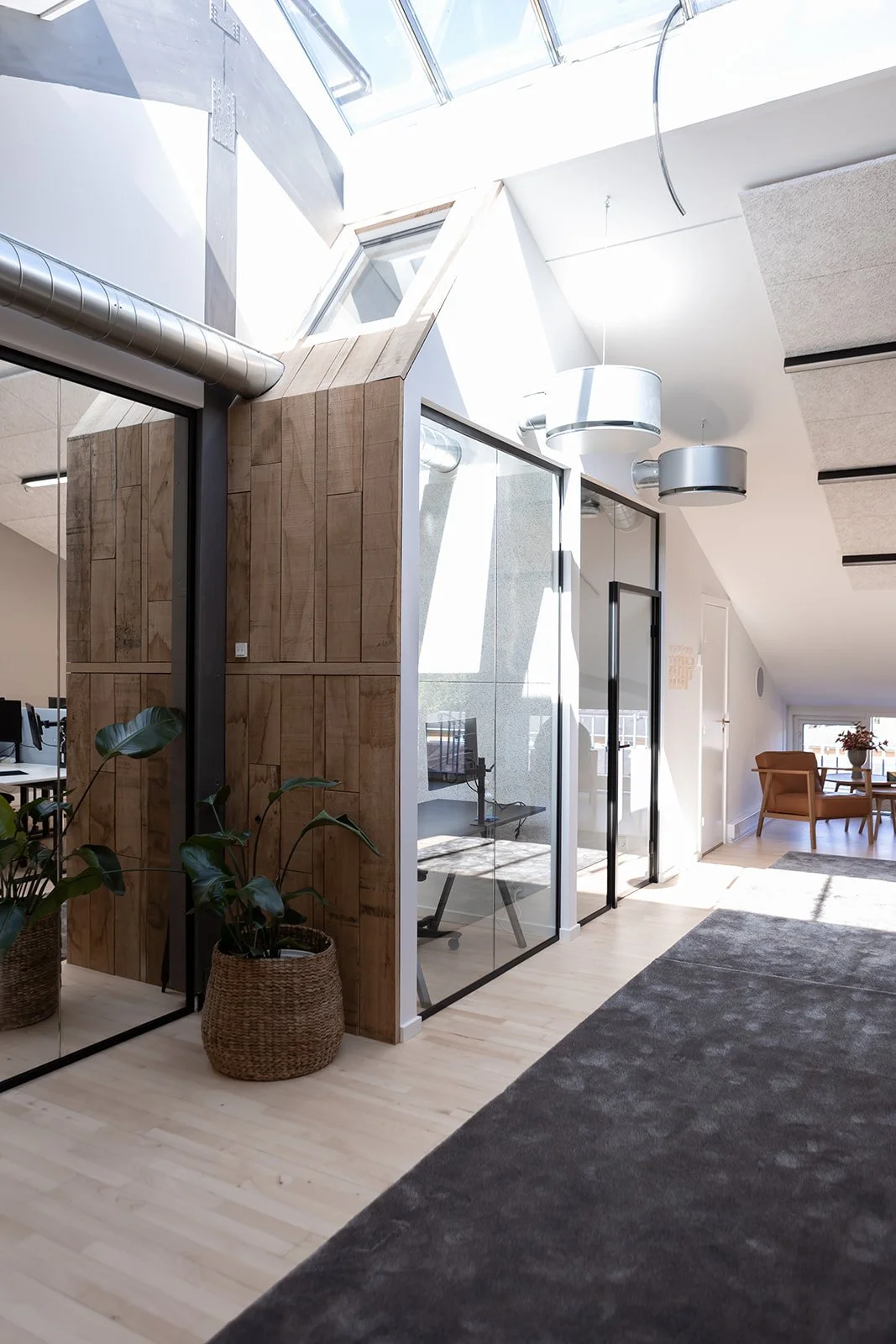 Moderne kontorlokale med glasvægge, trævægpaneler, store vinduer i Loftet, plante i kurv, sofa og spisebord i baggrunden.