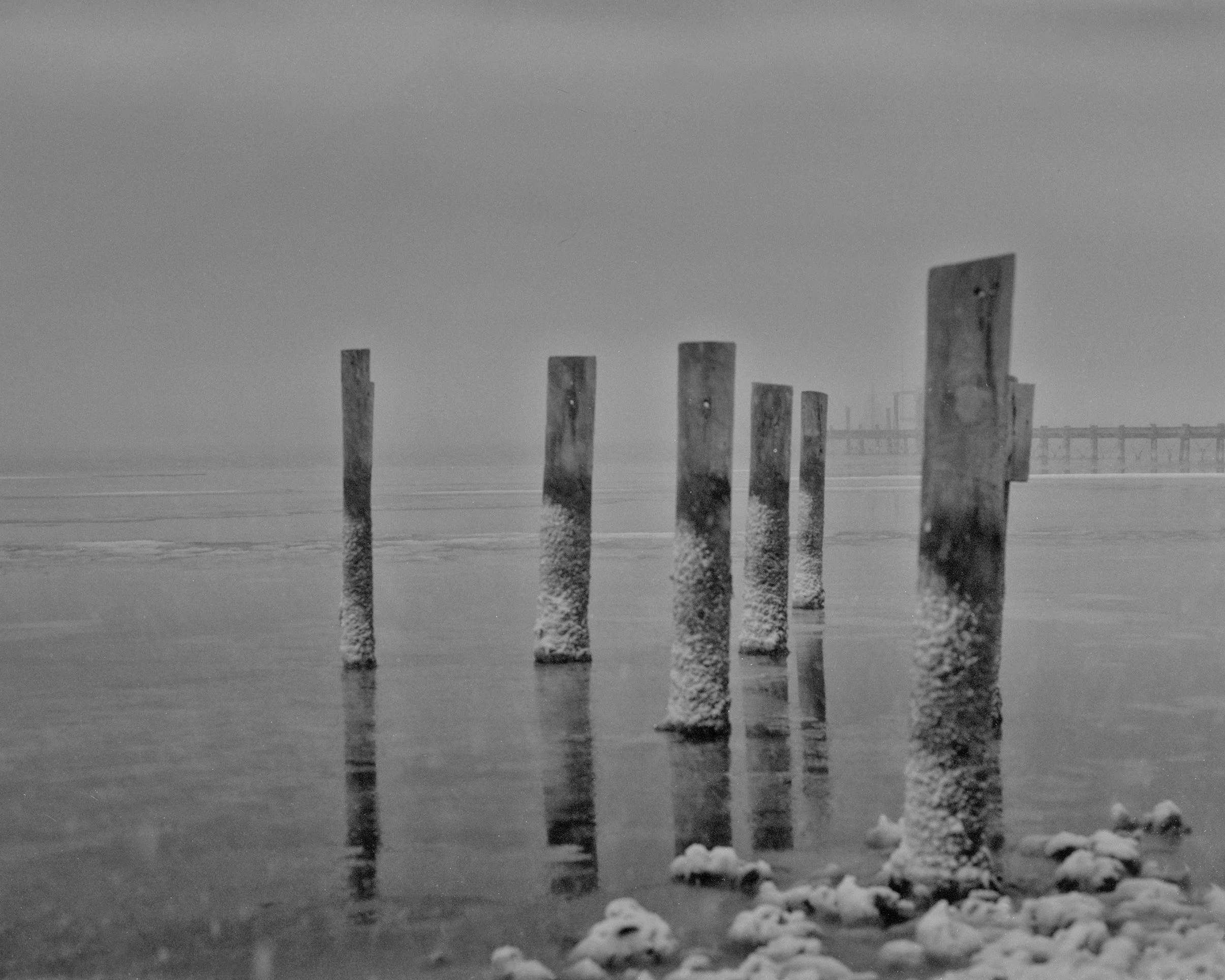 Shot of weathered wooden posts standing in icy water, with snow on the ground, under a cloudy sky.