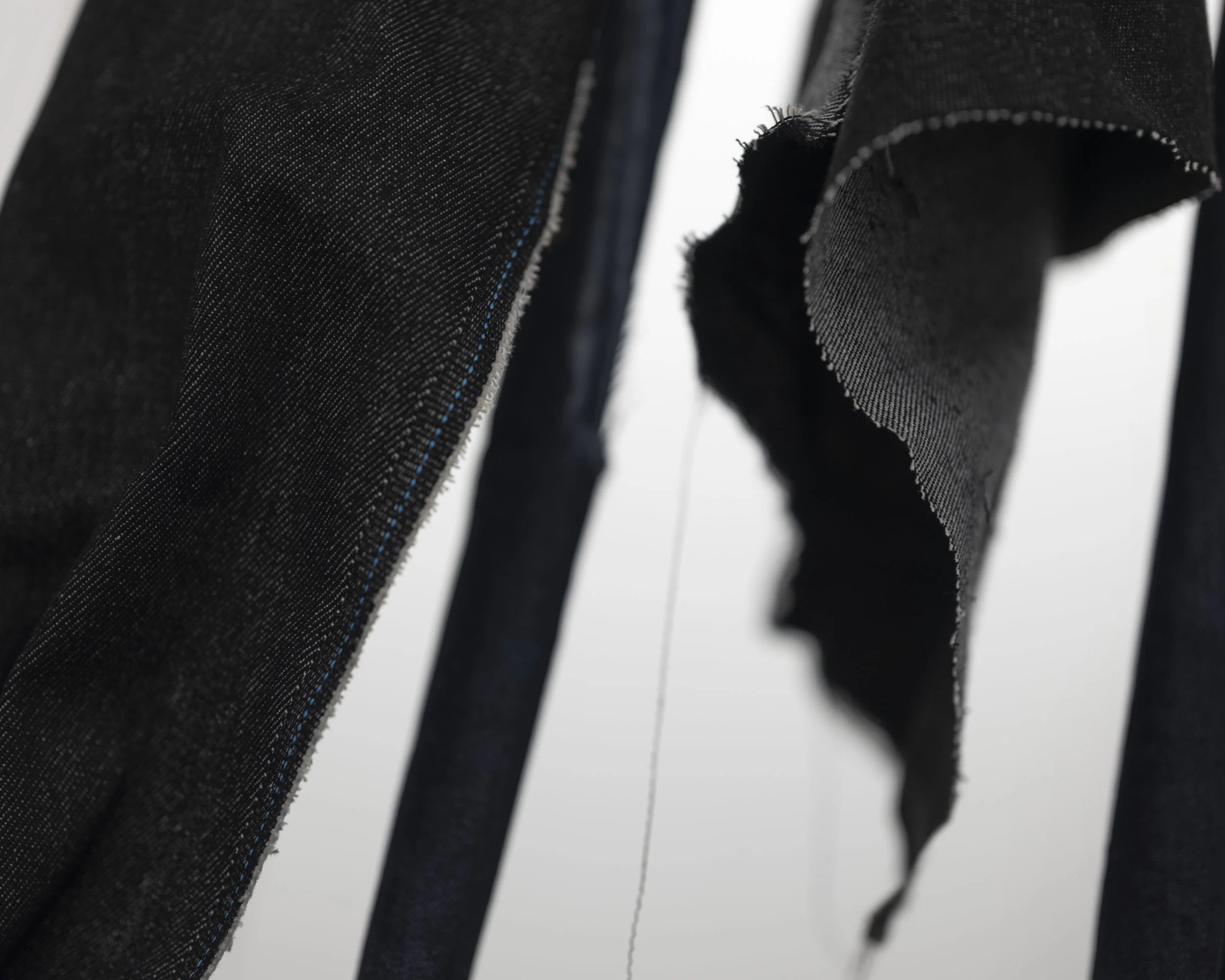 Macrodenim2.jpg