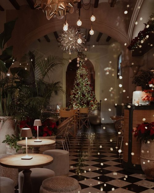 The salon at Chez Junior dressed for Christmas, with a tree and fairy lights