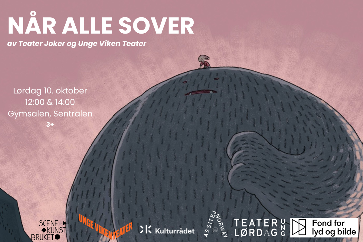 Når Alle Sover (3+)