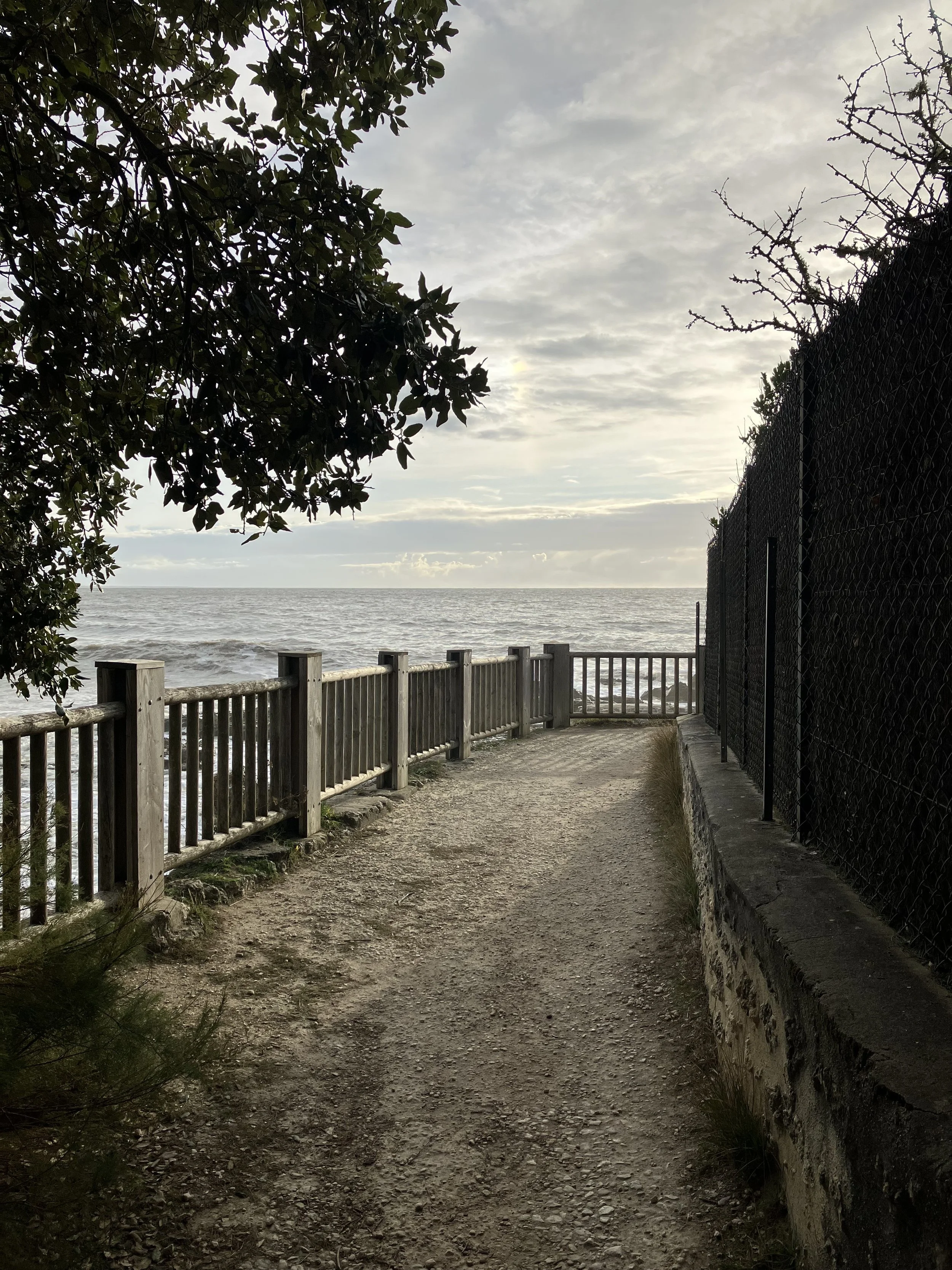 Image_20251130_162917.jpeg