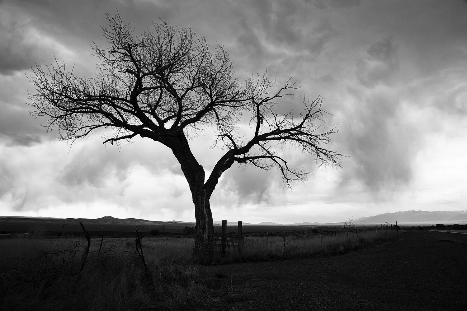 On the Low Road to Taos No. 2