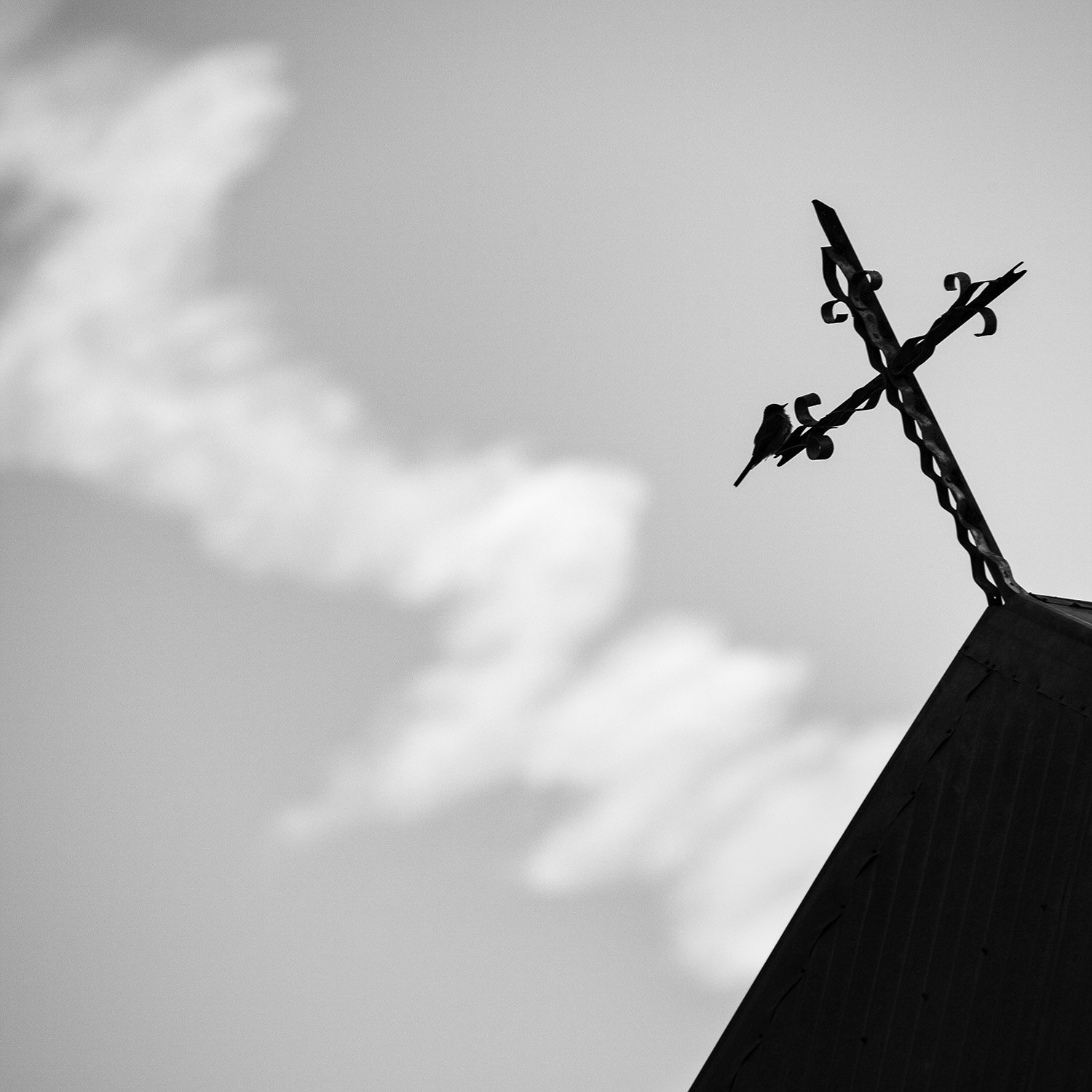 Bird on a Cross