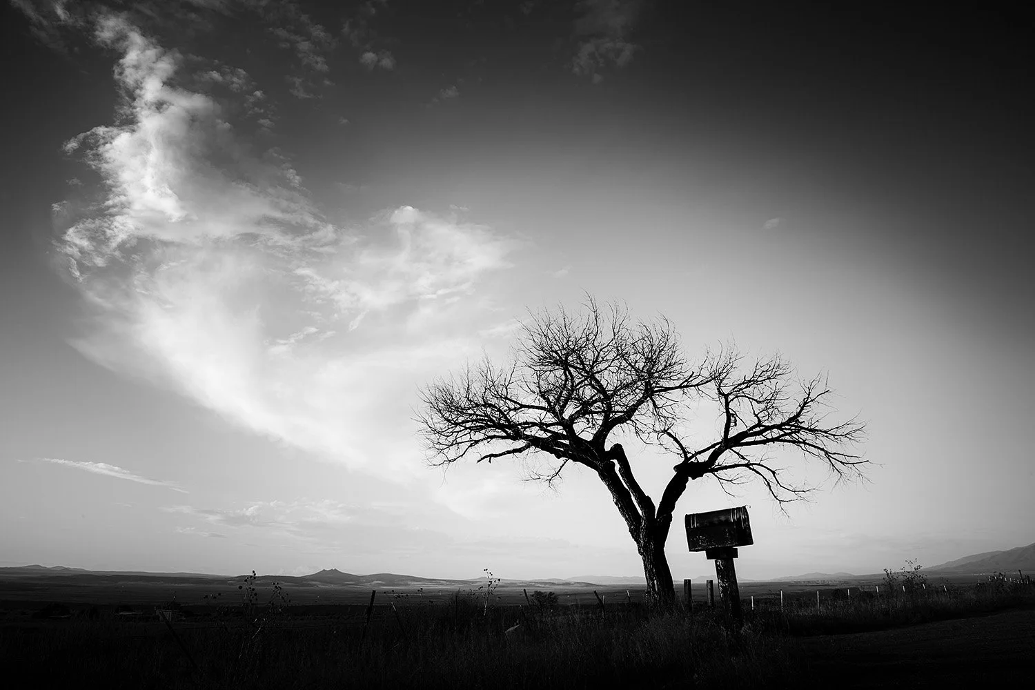 On the Low Road to Taos No. 1